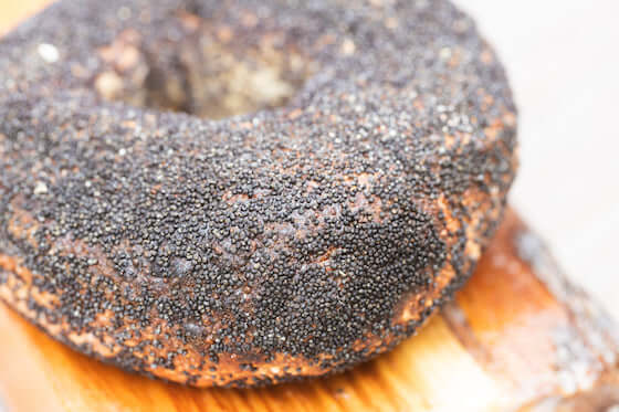Wood fired Bagels with Poppy